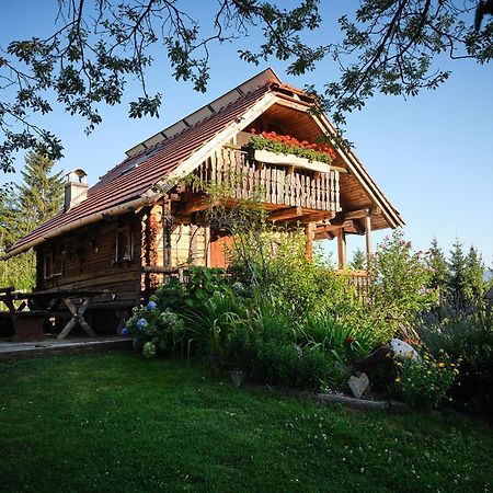 Chalets Toplak Sveti Duh na Ostrem Vrhu Bagian luar foto