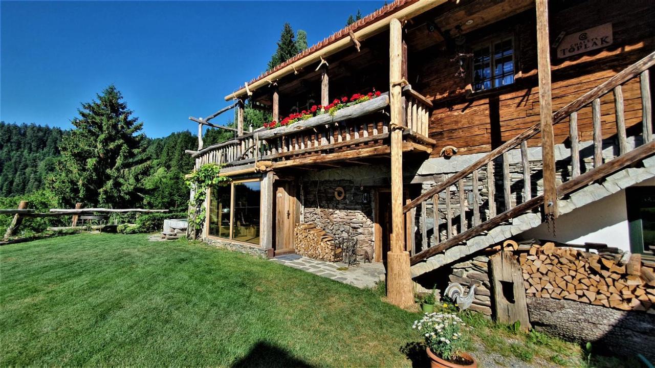 Chalets Toplak Sveti Duh na Ostrem Vrhu Bagian luar foto