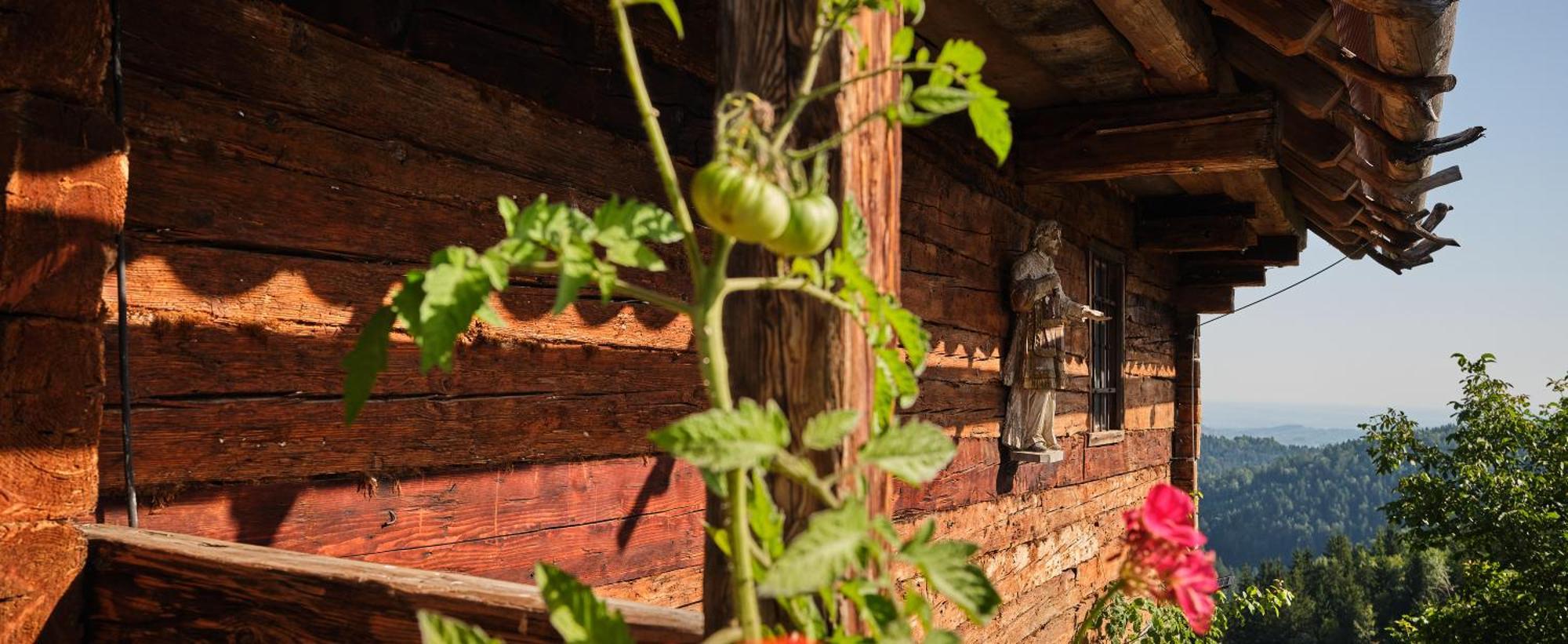 Chalets Toplak Sveti Duh na Ostrem Vrhu Bagian luar foto