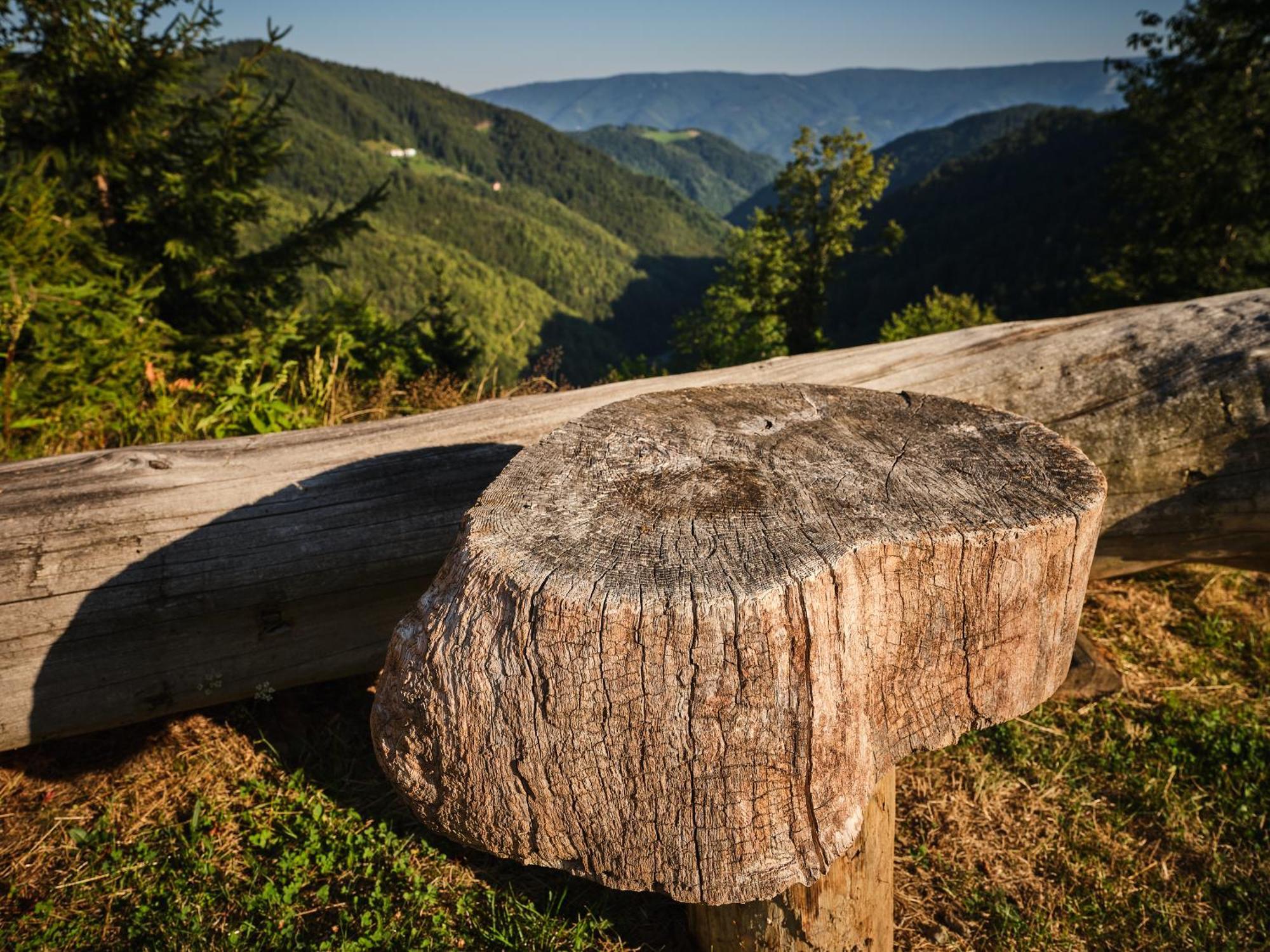 Chalets Toplak Sveti Duh na Ostrem Vrhu Bagian luar foto