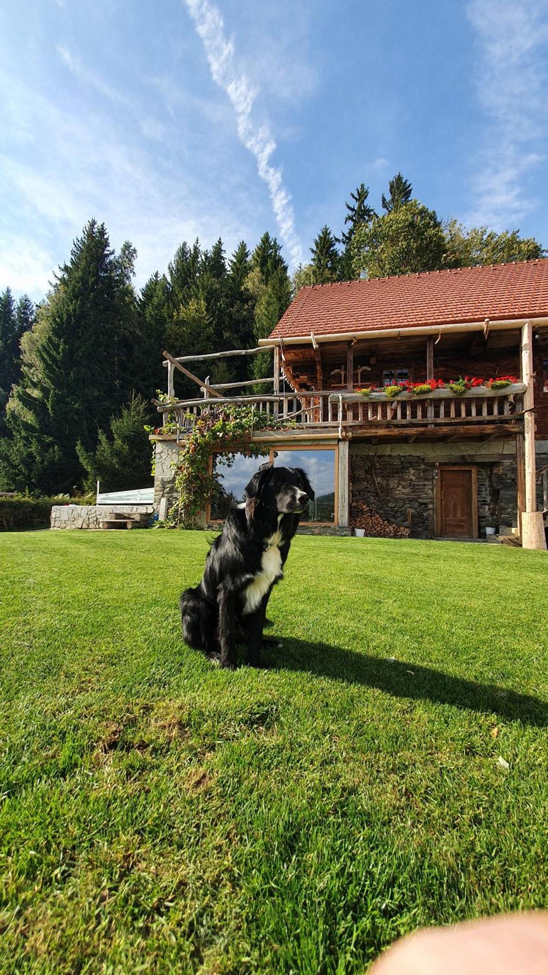 Chalets Toplak Sveti Duh na Ostrem Vrhu Bagian luar foto