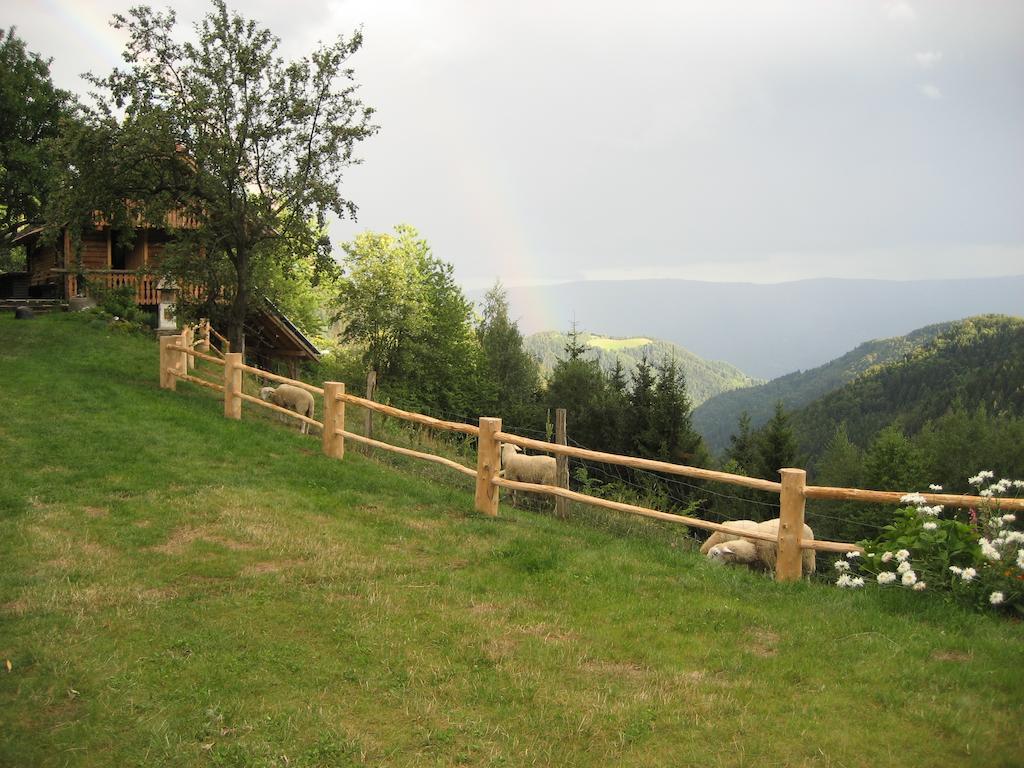 Chalets Toplak Sveti Duh na Ostrem Vrhu Bagian luar foto