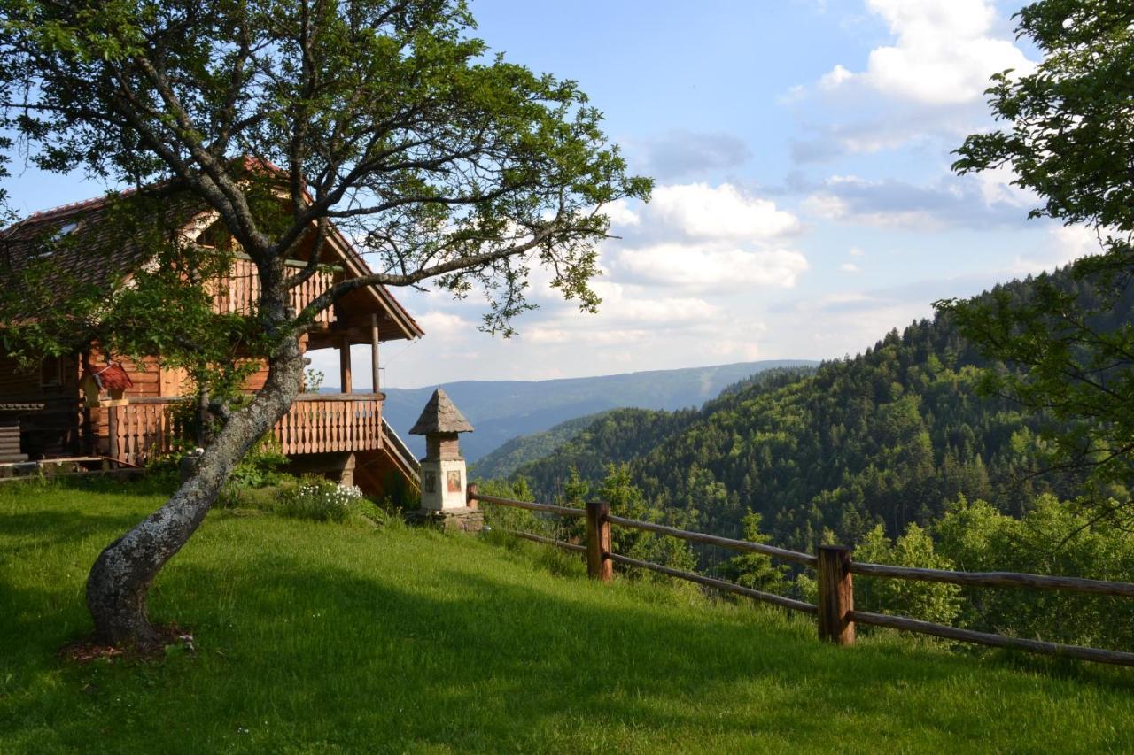 Chalets Toplak Sveti Duh na Ostrem Vrhu Bagian luar foto